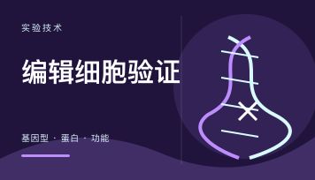 CRISPR编辑细胞株如何验证