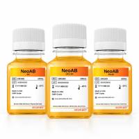 人AB血清 | NeoAB™  Human Male AB Serum