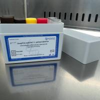 Roche 7730578001 LightMix Modular Chlamydophila psittaci