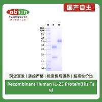 Recombinant Human IL-23 Protein(His Tag)