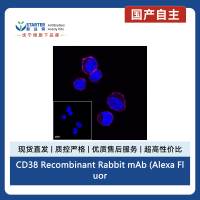 CD38 Recombinant Rabbit mAb (Alexa Fluor® 647 Conjugate) (SDT-031-45-2)