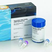 Roche 6896529001 Factor V CE IVD TIB