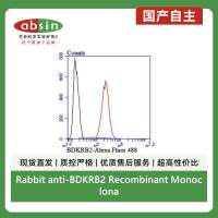 Rabbit anti-BDKRB2 Recombinant Monoclonal Antibody