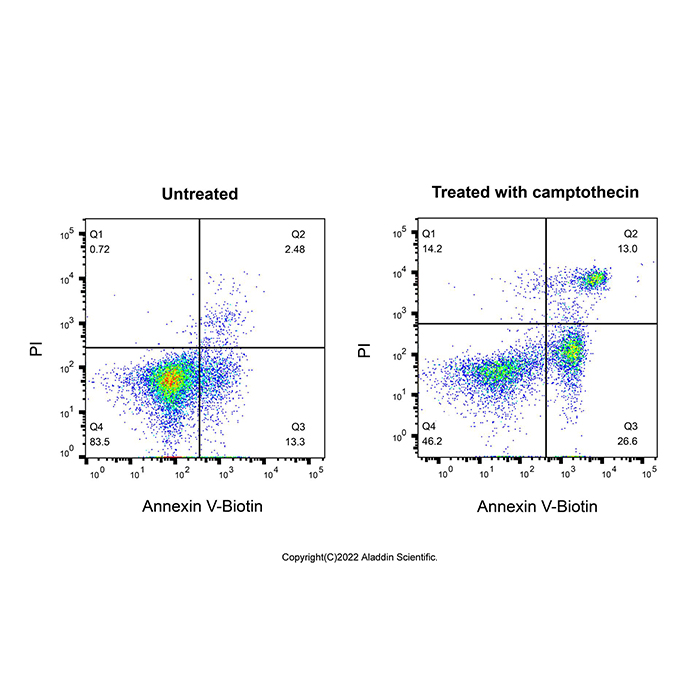 Annexin V-Biotin/PI细胞凋亡检测试剂盒,适用于免疫荧光(IF), BioReagent, 即用型, 生物染色剂, 用于显微镜,阿拉丁