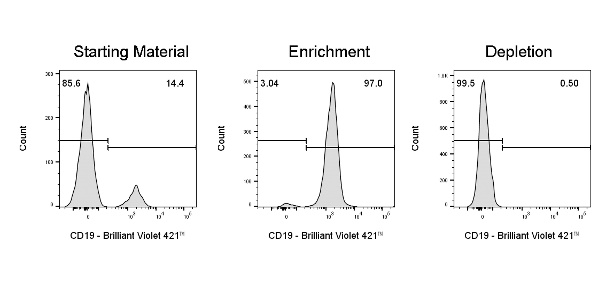 CD19分选磁珠如何实现B细胞精准分离？