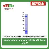 Recombinant Human ANKRD20A2P Protein(N-MBP & C-His)