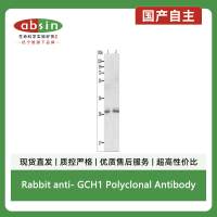 Rabbit anti- GCH1 Polyclonal Antibody