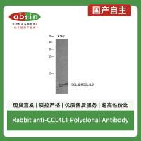 Rabbit anti-CCL4L1 Polyclonal Antibody