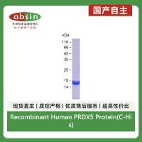 Recombinant Human PRDX5 Protein(C-His)