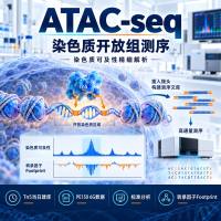 ATAC-seq染色质开放组测序技术服务（基础版）