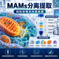 MAMs线粒体相关内质网膜分离服务