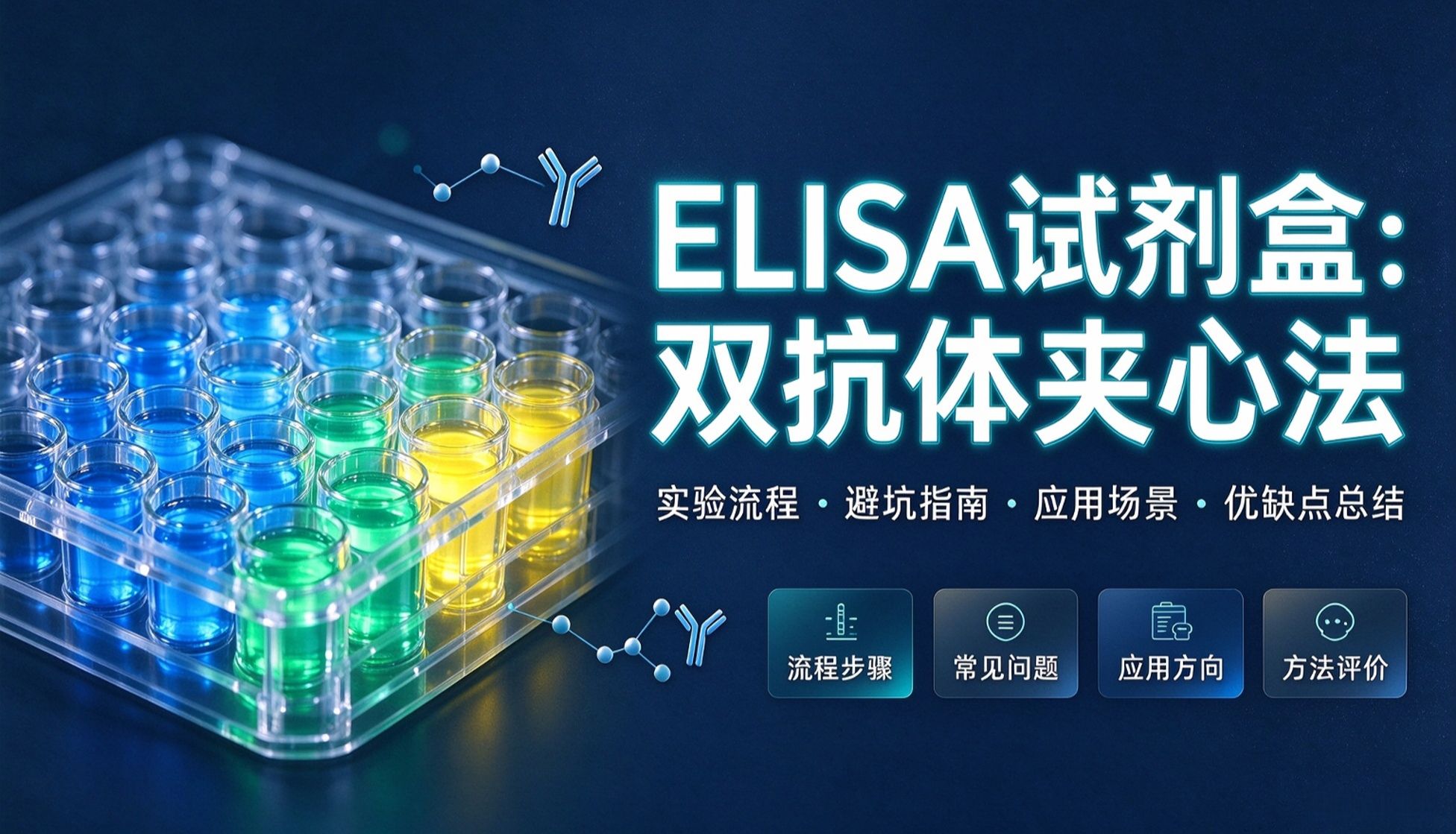 ELISA 试剂盒：双抗体夹心法