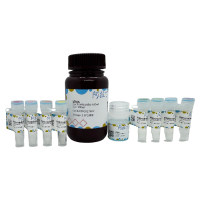 即用型BCA蛋白定量试剂盒,BioReagent, 用于蛋白分析, 即用型,阿拉丁
