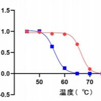 CETSA细胞热位移分析服务(靶点结合验证)