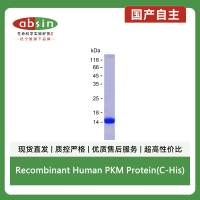 Recombinant Human PKM Protein(C-His)