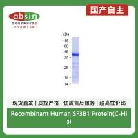 Recombinant Human SF3B1 Protein(C-His)