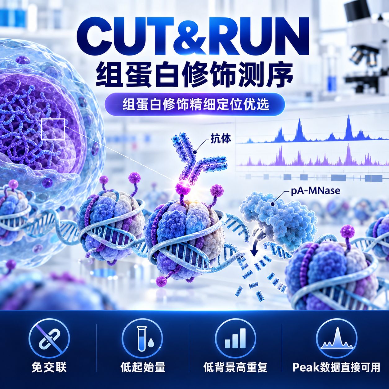 CUT&RUN测序技术服务(组蛋白修饰)