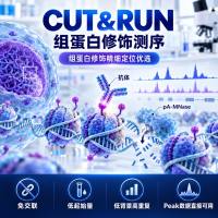 CUT&RUN测序技术服务（组蛋白修饰）