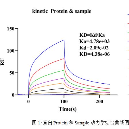 SPR分子互作检测服务（表面等离子共振）