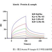 SPR分子互作检测服务（表面等离子共振）