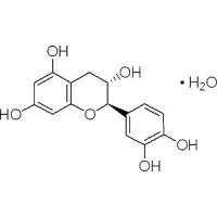 (+/-)-儿茶精