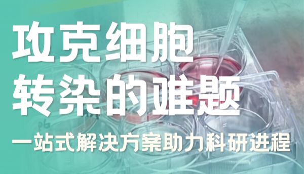 攻克细胞转染的难题 | 淼灵一站式解决方案助力科研进程