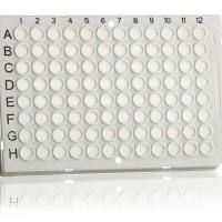 Roche 8504270001 Multiwell Plate 96, Low