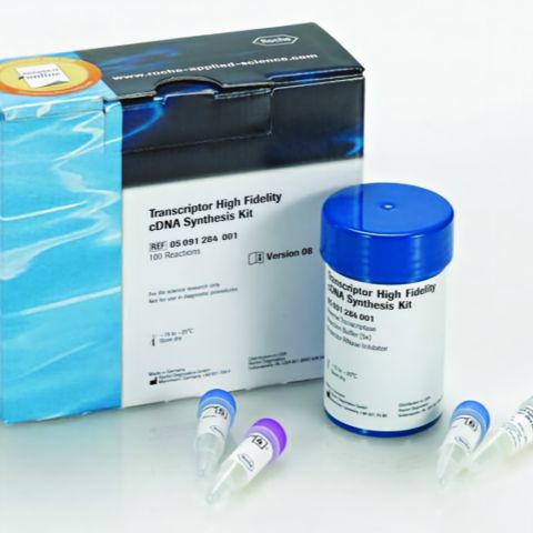KK8400 KAPA Stranded RNA-Seq文库构建试剂盒 (24反应)