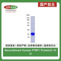 Recombinant Human PTBP1 Protein(C-His)