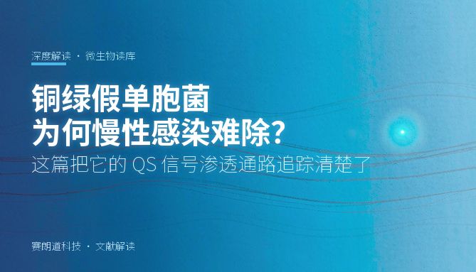铜绿假单胞菌为何慢性感染难除？这篇把它的 QS 信号渗透通路追踪清楚了