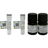 钙检测试剂盒(甲基麝香草酚蓝微板法),BioReagent,阿拉丁