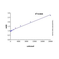 乳酸脱氢酶细胞毒性检测试剂盒(WST-8法) ,BioReagent,即用型,for IP,阿拉丁