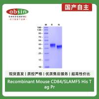 Recombinant Mouse CD84/SLAMF5 His Tag Protein(His Tag)