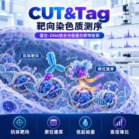CUT&Tag测序技术服务（转录因子）