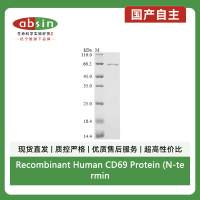 Recombinant Human CD69 Protein (N-terminal MBP and C-terminal 6xHis-Avi)