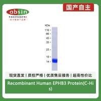 Recombinant Human EPHB3 Protein(C-His)
