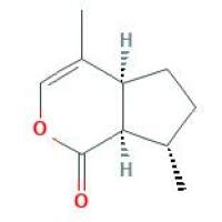 顺反式荆芥内酯，21651-62-7，Moligand™,≥95%，阿拉丁