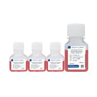 Ubri-AmritaTM Hematopoietic分化培养基（PSC-造血干细胞)