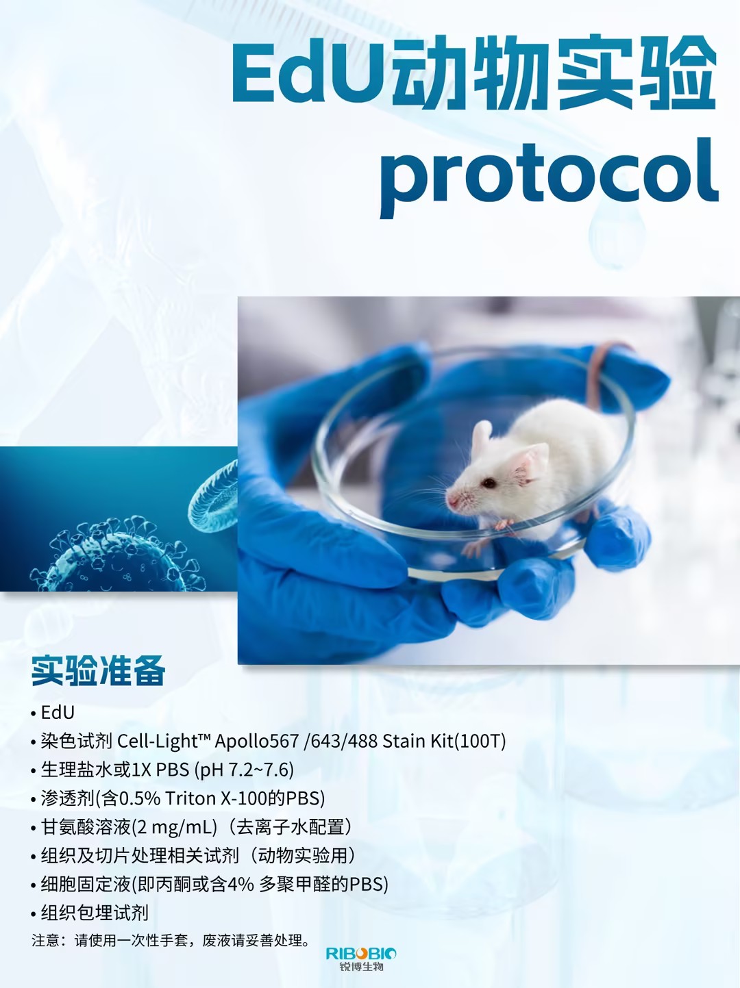 超详细！EdU动物实验protocol干货快存