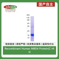 Recombinant Human MBD4 Protein(C-His)