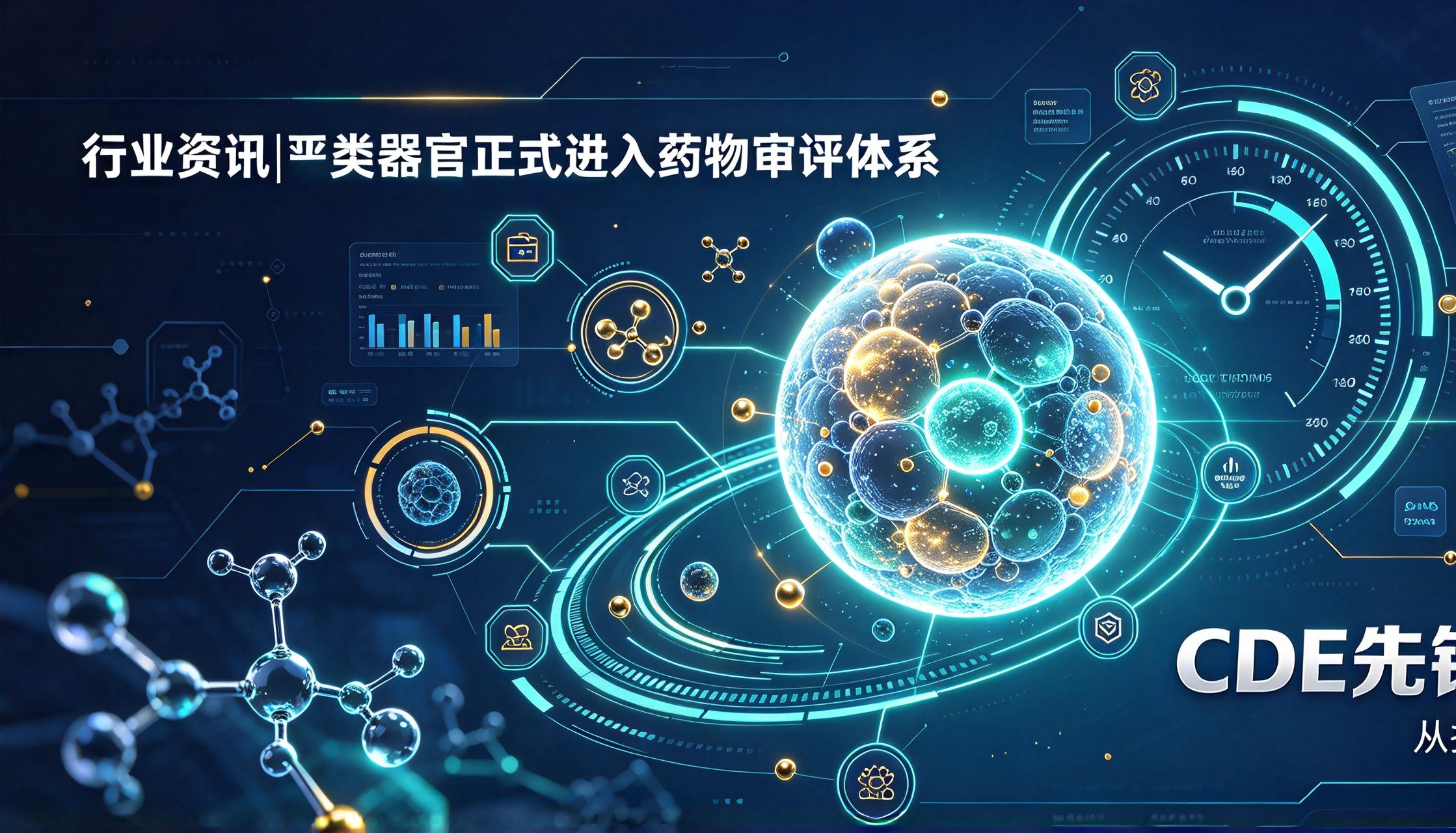 行业资讯丨类器官正式进入药物审评体系 CDE先锋计划全解读