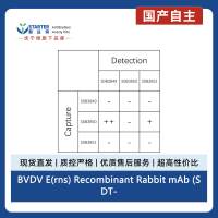 BVDV E(rns) Recombinant Rabbit mAb (SDT-4047-237)