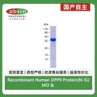 Recombinant Human DPP9 Protein(N-SUMO & N-His)