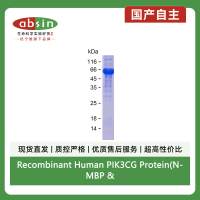 Recombinant Human PIK3CG Protein(N-MBP & C-His)