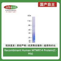 Recombinant Human MTMR14 Protein(C-His)