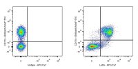 APC-Cy7 Rat Anti-Mouse Ly-6G/Ly-6C(Gr-1) Antibody (RB6-8C5)