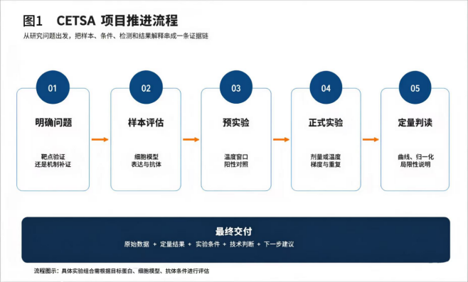 候选化合物到靶点验证，CETSA 帮你补上最关键的一环