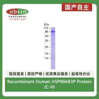 Recombinant Human HSP90AB3P Protein(C-His)