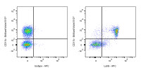 APC Rat Anti-Mouse Ly6G Antibody (1A8)