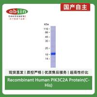 Recombinant Human PIK3C2A Protein(C-His)